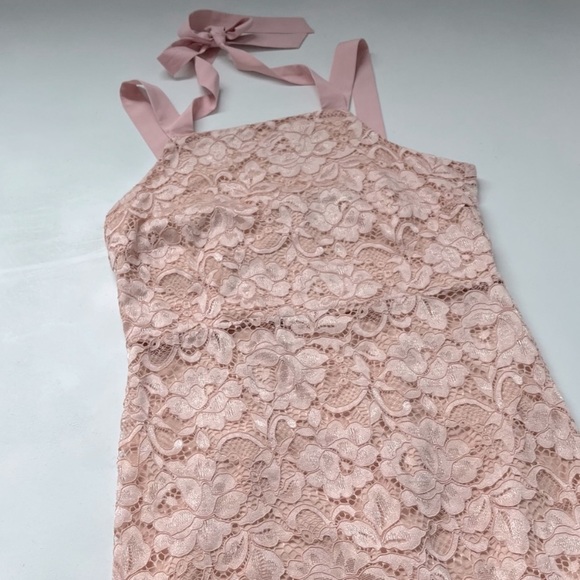 SAM EDELMAN PETAL PINK THICK STRAP LACE DRESS SIZE 10 - Picture 4 of 14